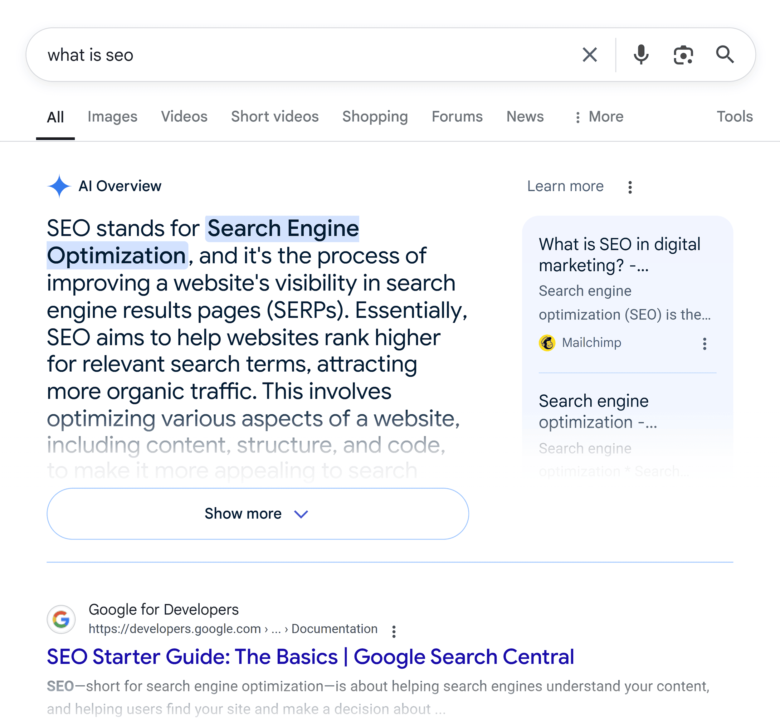 Google SERP – What is SEO – AI overview