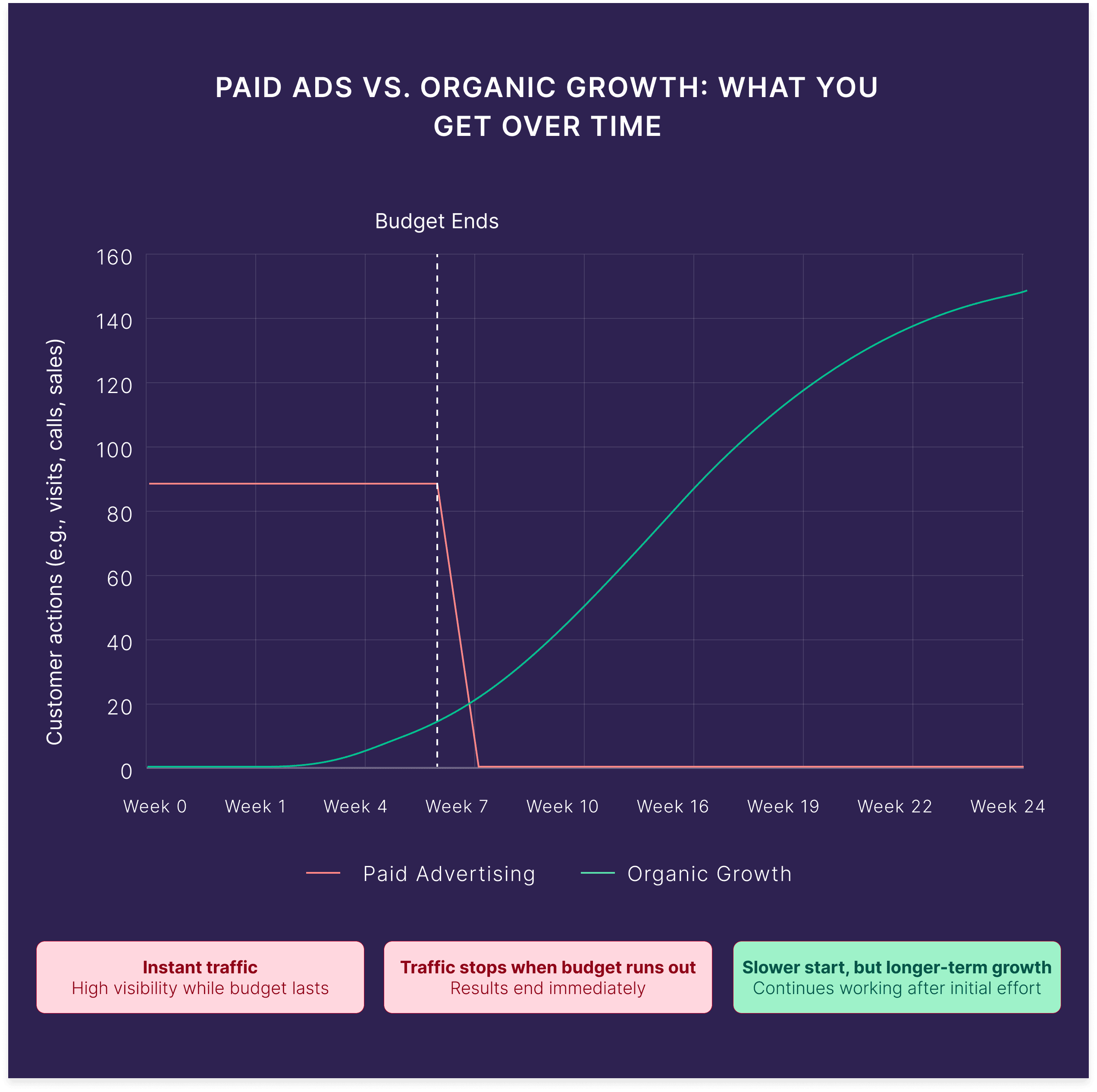 Paid Ads vs. Organic Growth: What You Get Over Time