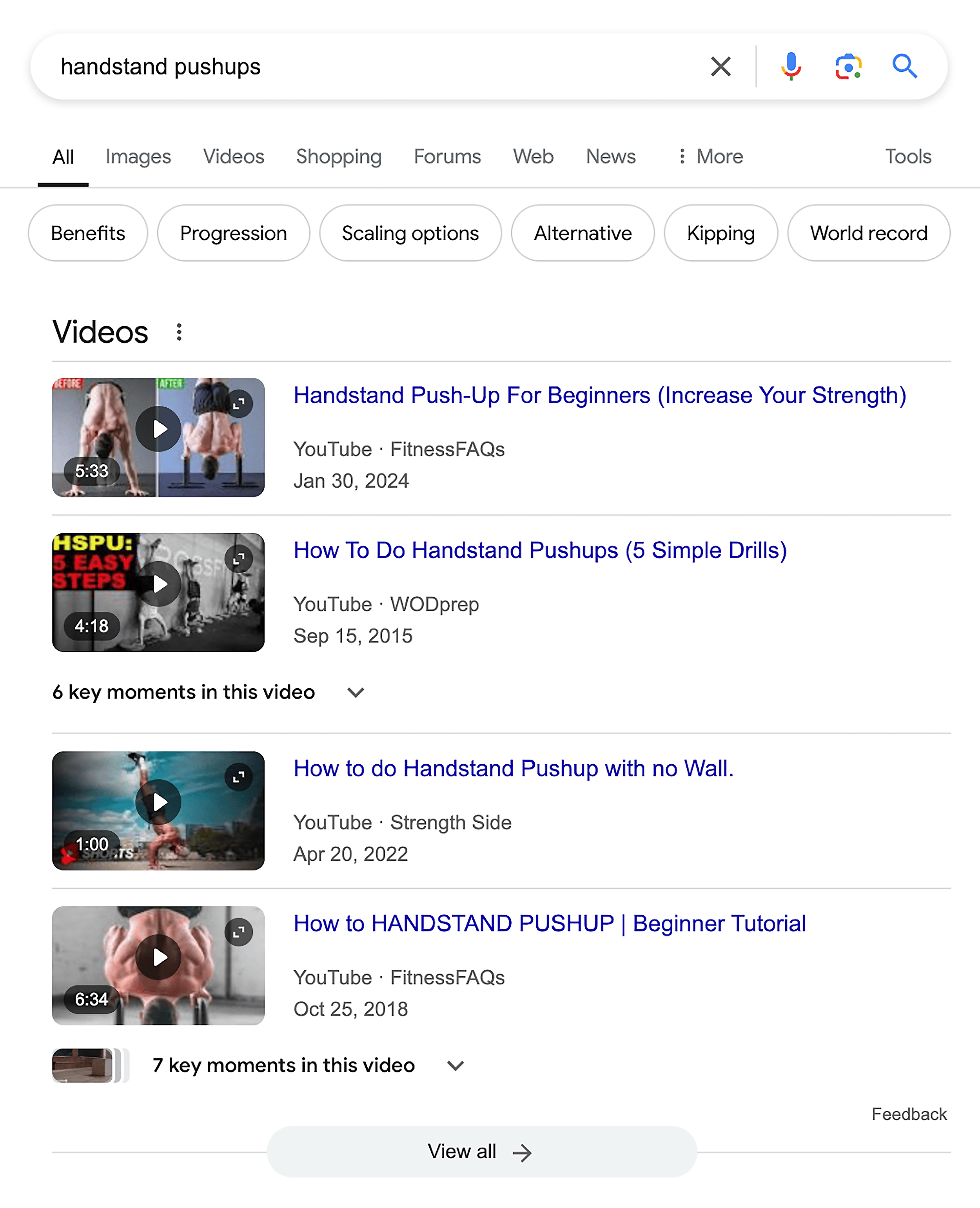 Google SERP – Handstand pushups