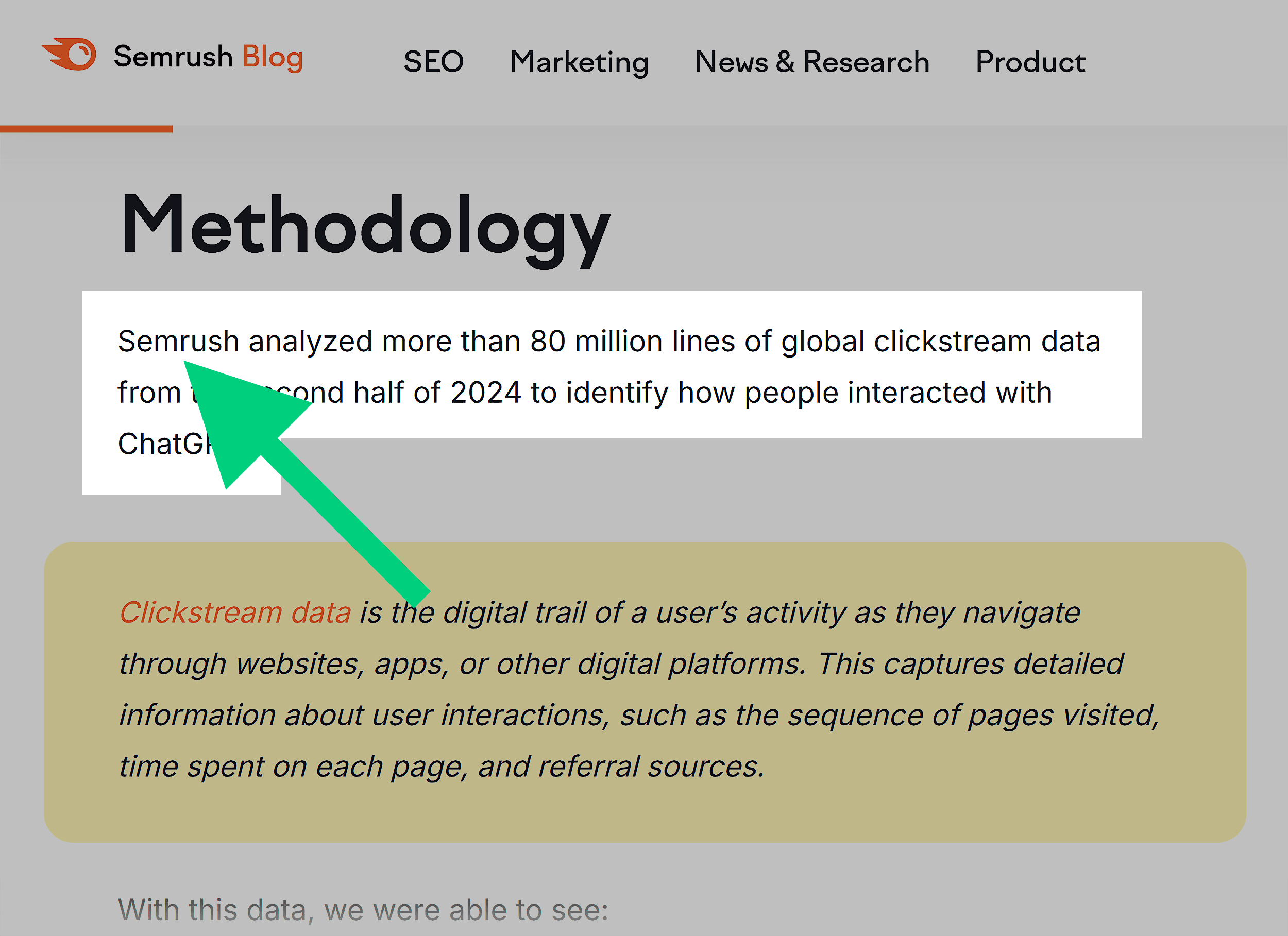 Dynamic SEO Pro Semrush Blog – Using brand name vs. we