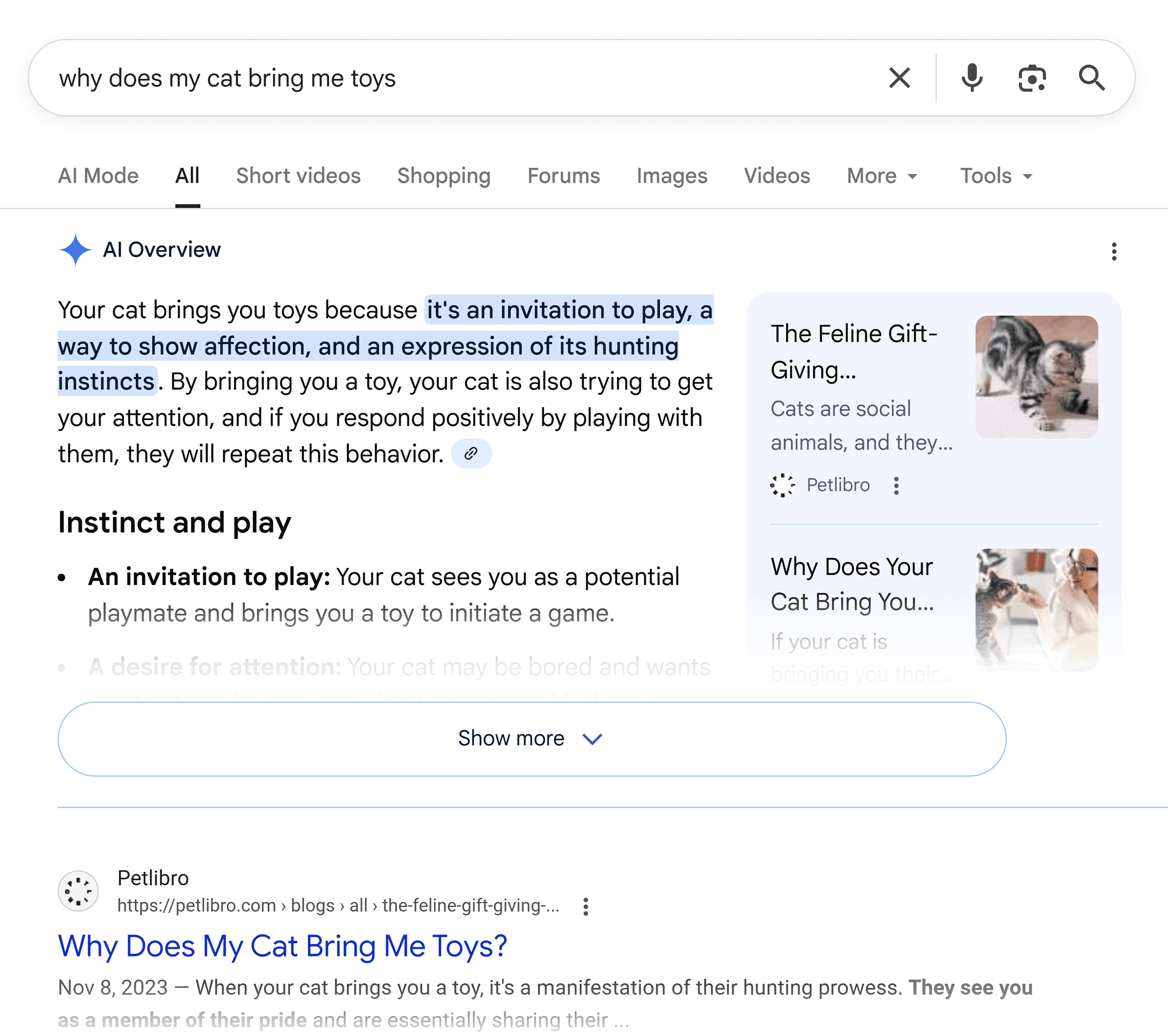 Google SERP – Cat toys