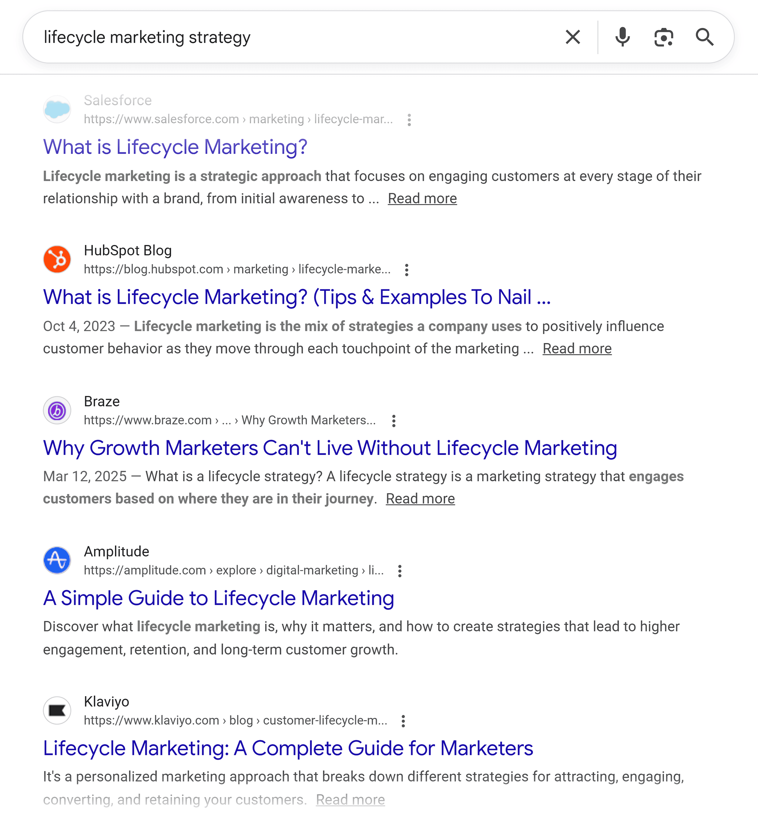 Google SERP – Lifecycle marketing strategy