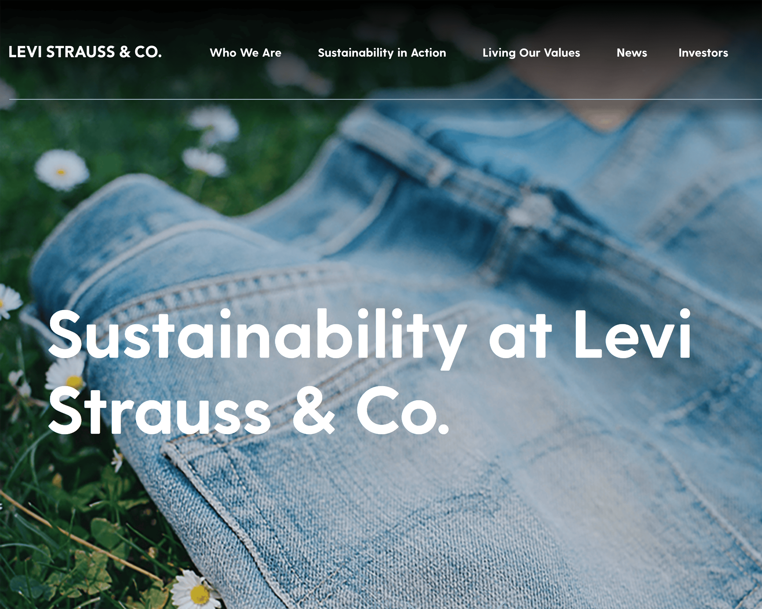 Levi Strauss – Sustainability