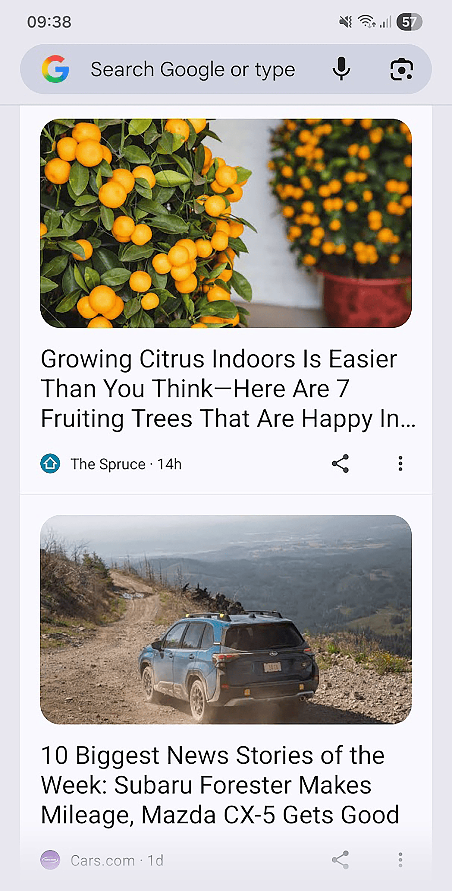 Google Discover feed